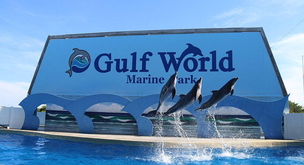 Gulf World Marine Park Panama City Beach