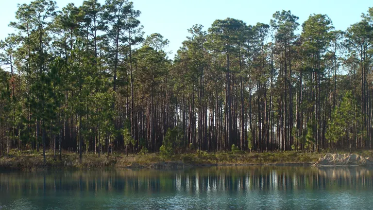 day trips from panama city beach day trips from panama city beach