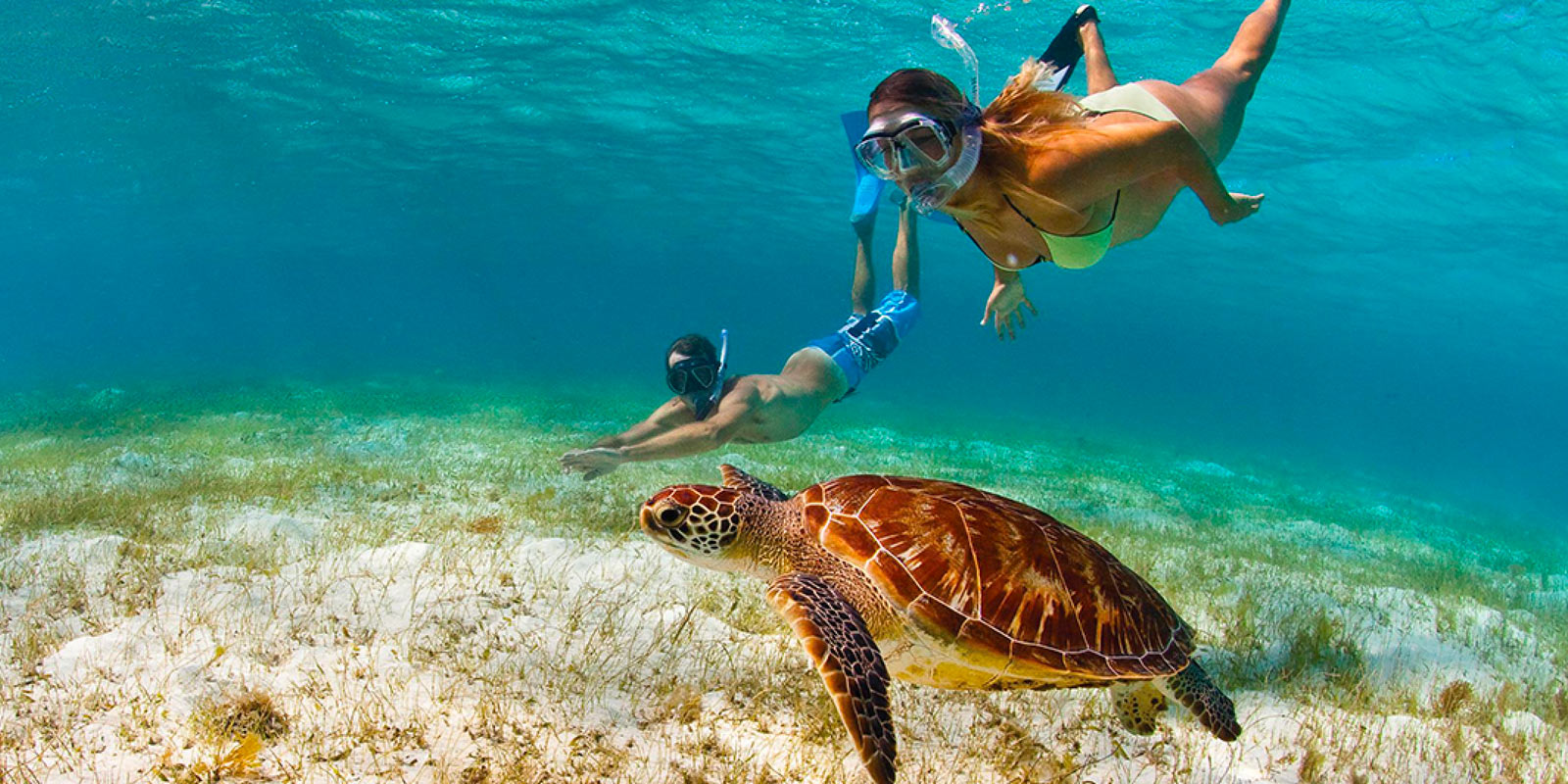 snorkeling